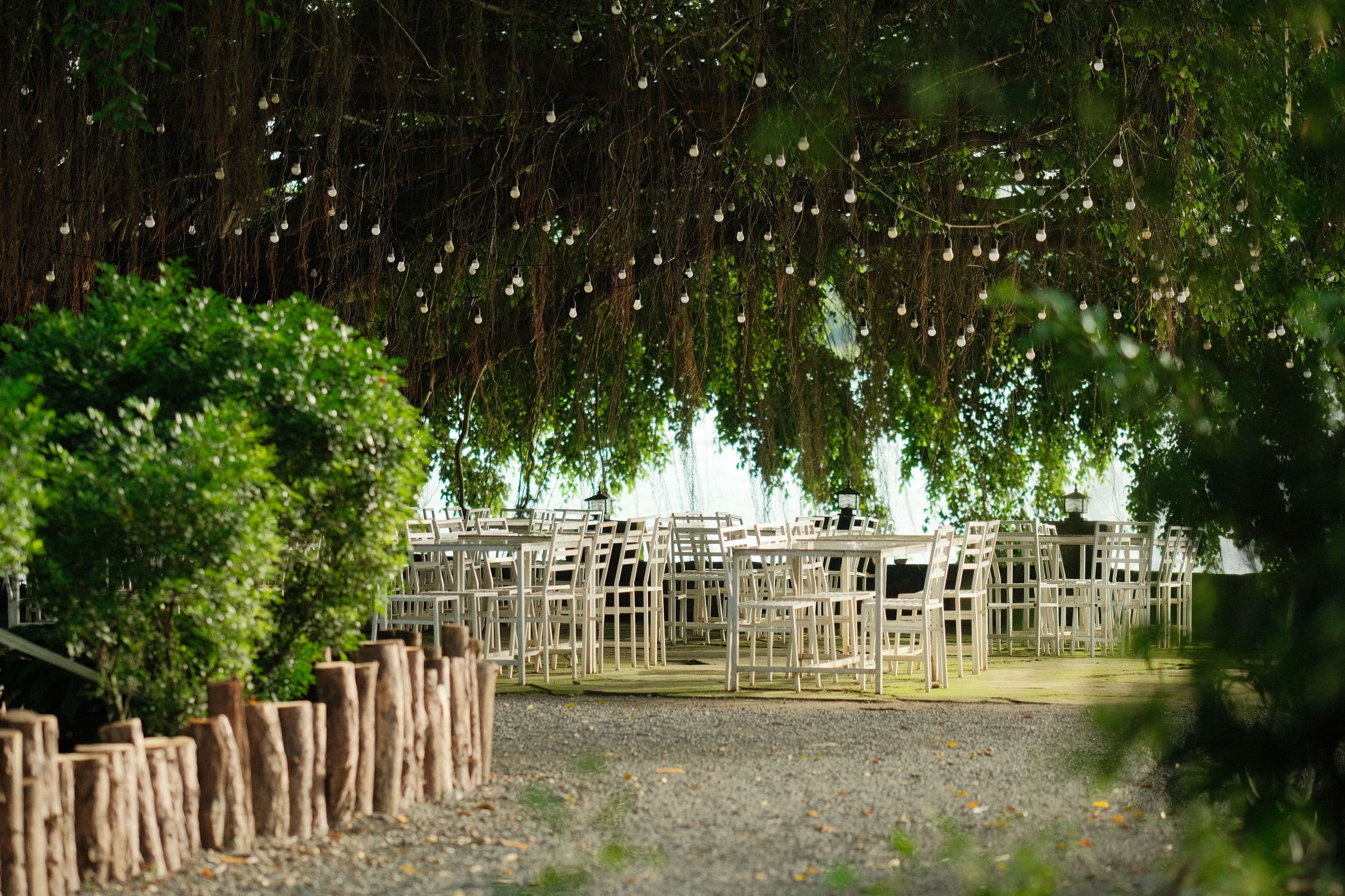 Garden dinner with festoon lights